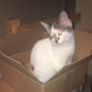 Meet your Posher, Mel